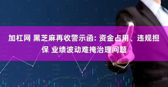 加杠网 黑芝麻再收警示函: 资金占用、违规担保 业绩波动难掩治理问题